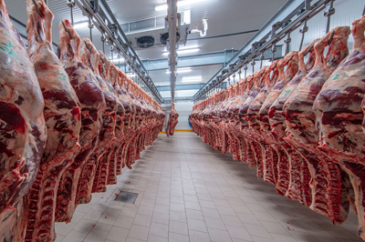 confezionamento-carne-supply-chain